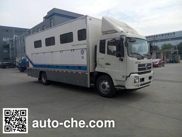 Автофургон для перевозки лошадей (коневоз) Tianshun CHZ5160XYM