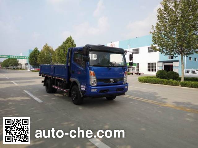 Бортовой грузовик Shifeng SSF1041HDJ75
