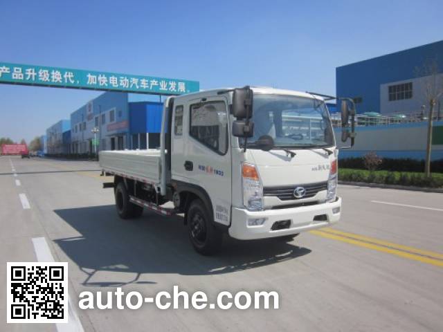 Бортовой грузовик Shifeng SSF1041HDP54-2