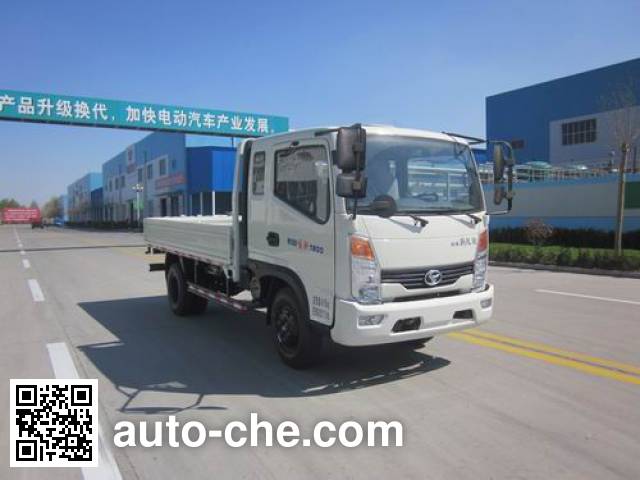 Бортовой грузовик Shifeng SSF1041HDP64-2