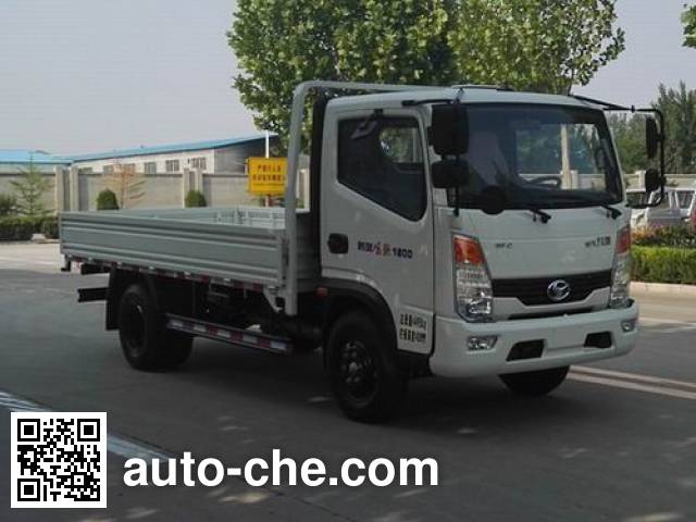 Бортовой грузовик Shifeng SSF1042HDJ54-1