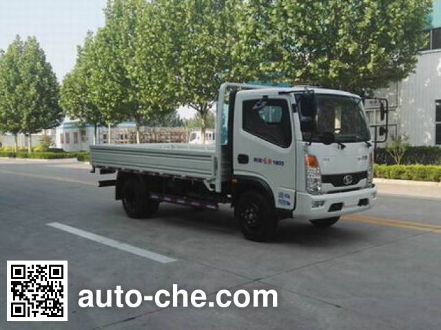 Бортовой грузовик Shifeng SSF1042HDJ54