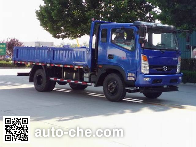 Бортовой грузовик Shifeng SSF1091HHP76