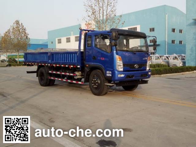 Бортовой грузовик Shifeng SSF1091HHP77