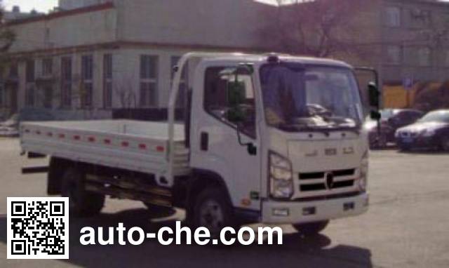 Бортовой грузовик Jinbei SY1045HRFS