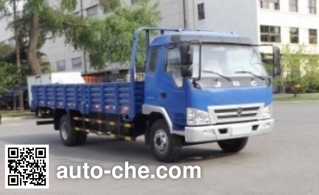 Бортовой грузовик Jinbei SY1104BREARQ