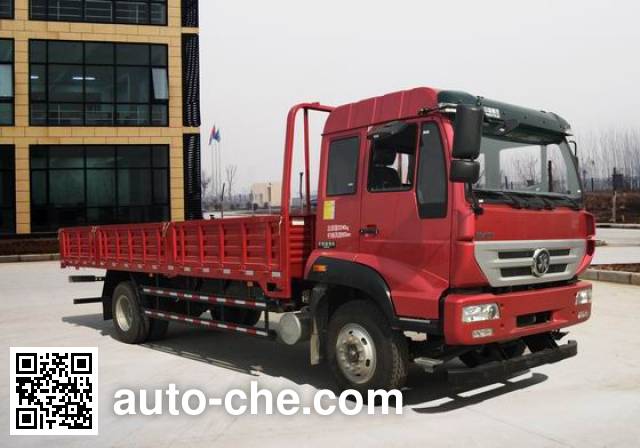 Бортовой грузовик Sida Steyr ZZ1161H521GD1