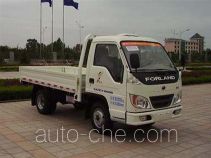 Бортовой грузовик Foton BJ1020V3JV3-S