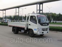 Бортовой грузовик Foton BJ1031V3JW4-BB