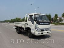 Бортовой грузовик Foton BJ1043V8JBA-BM