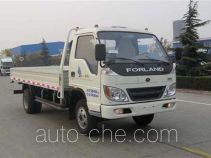 Бортовой грузовик Foton BJ1063VCJEA-S1