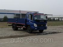 Бортовой грузовик Foton BJ1099VEJED-FB