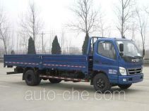 Бортовой грузовик Foton BJ1101VEJED-S