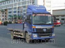 Бортовой грузовик Foton Auman BJ1123VFPFG-1
