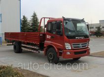 Бортовой грузовик Foton BJ1129VHPFK-AA