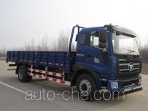 Бортовой грузовик Foton BJ1163VKPFK-4