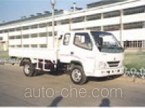 Бортовой грузовик FAW Jiefang CA1030K26L2R5