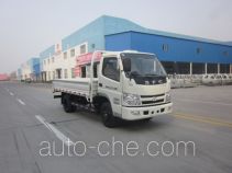 Бортовой грузовик Shifeng SSF1040HDJ54-6