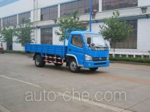 Бортовой грузовик Shifeng SSF1040HDJ64-2