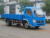 Бортовой грузовик Shifeng SSF1040HDJ64-2A
