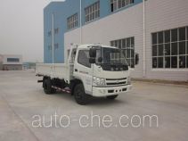 Бортовой грузовик Shifeng SSF1040HDJ64-6