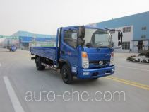 Бортовой грузовик Shifeng SSF1041HDJ54-2