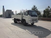 Бортовой грузовик Shifeng SSF1041HDJ64-1