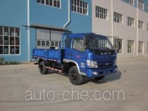 Бортовой грузовик Shifeng SSF1041HDP54-1