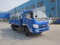 Бортовой грузовик Shifeng SSF1041HDP54-3