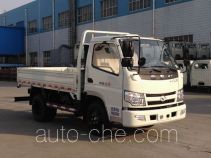 Бортовой грузовик Shifeng SSF1042HDJ52