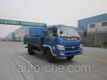 Бортовой грузовик Shifeng SSF1060HFP65