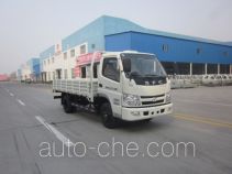 Бортовой грузовик Shifeng SSF1070HGJ64-1