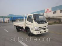 Бортовой грузовик Shifeng SSF1070HGJ64