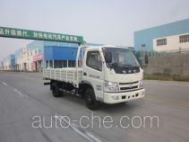 Бортовой грузовик Shifeng SSF1070HGJ74