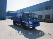 Бортовой грузовик Shifeng SSF1080HHP65