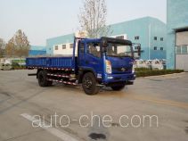 Бортовой грузовик Shifeng SSF1101HHP88