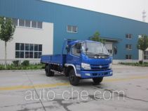 Бортовой грузовик Shifeng SSF1110HHP76