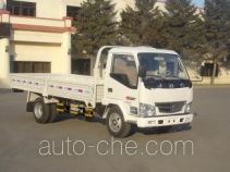 Бортовой грузовик Jinbei SY1043DAQS
