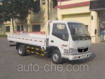 Бортовой грузовик Jinbei SY1043DLCS