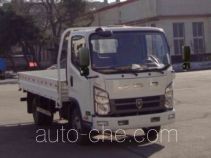 Бортовой грузовик Jinbei SY1044DU1S