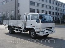 Бортовой грузовик Jinbei SY1090BR1C