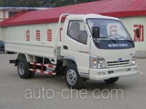 Бортовой грузовик Qingqi ZB1042LDD