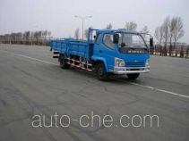 Бортовой грузовик Qingqi ZB1050KBPI