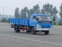 Бортовой грузовик Qingqi ZB1050TPI