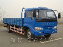 Бортовой грузовик Shenye ZJZ1090DPD4AZ